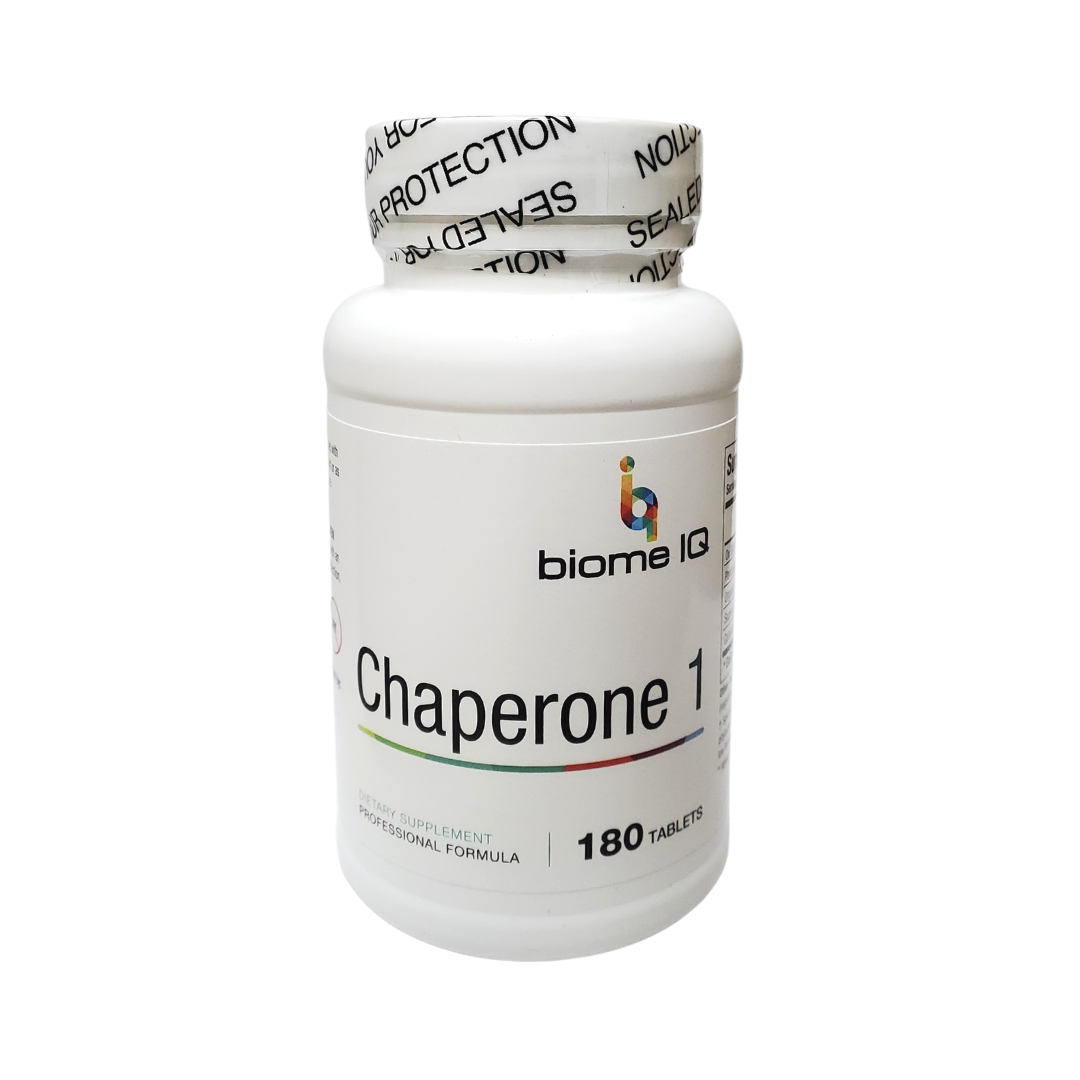 Chaperone 1